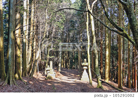 能勢妙見山の鳥居 105291002
