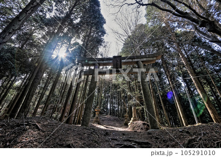 能勢妙見山の鳥居 能勢妙見山の鳥居 105291010