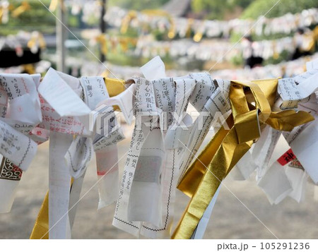 出水神社の境内にある金の御籤 (熊本市水前寺公園) 出水神社の境内にある金の御籤 (熊本市水前寺公園) 105291236