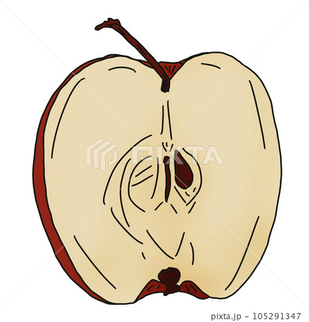 sketch of a apple 105291347