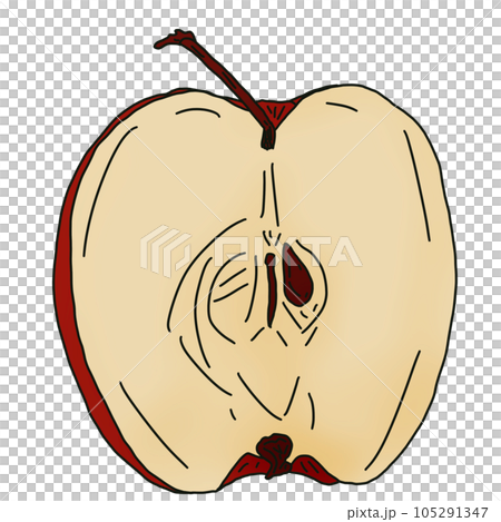 sketch of a apple 105291347