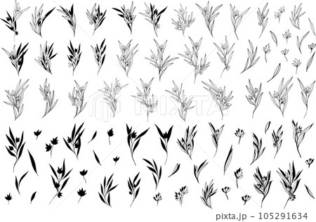 Big set silhouettes botanic branches, leaves, flowers. Abstract line art composition with minimal floral elements of herbs. Vector illustration for wedding invitation, logo design, template, tattoo 105291634