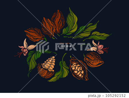 Cocoa fruit, symbol. Organic black raw chocolate Cocoa fruit, symbol. Organic black raw chocolate 105292152
