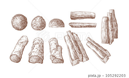 Firewood collection Dry sticks Timber pile Bonfire Firewood collection Dry sticks Timber pile Bonfire 105292203