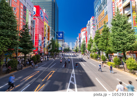 《東京都》秋葉原電気街の歩行者天国 105293190