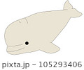 シロイルカ 105293406