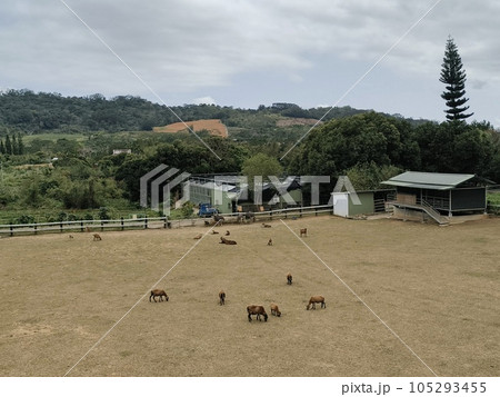 景色 風景 牧草地 105293455