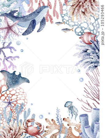 Set of cute postcards with sea animals. Collection of postcards with starfish, whale, crab, jellyfish, coral, fish, turtle. Watercolor illustration, hand drawn.Invitation templates 105293466