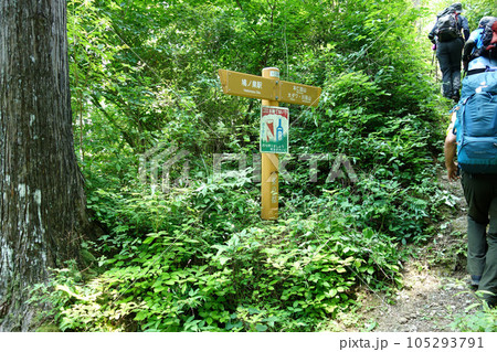 本仁田山登山道標識（本仁田山登山口～大根ノ山ノ神） 105293791