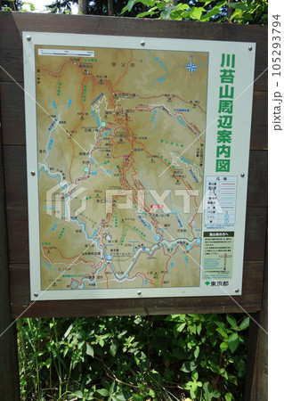 大根ノ山ノ神分岐点の案内図（本仁田山登山口～大根ノ山ノ神：東京都西多摩郡奥多摩町） 105293794