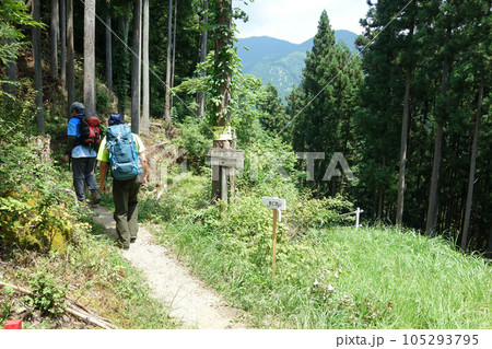 本仁田山登山道入口(大根ノ山ノ神分岐点~瘤高山) 本仁田山登山道入口(大根ノ山ノ神分岐点~瘤高山) 105293795