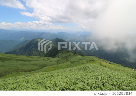 2023年7月の群馬県の谷川岳の登山道からの西黒尾根の眺め 2023年7月の群馬県の谷川岳の登山道からの西黒尾根の眺め 105293834