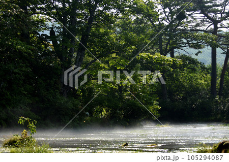 朝靄で霞む森の中の川（田代平湿原） 105294087