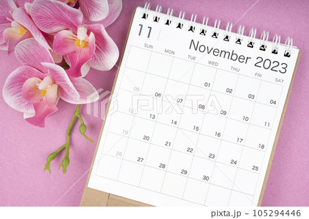 The November 2023 calendar desk and pink orchid on pink color background. 105294446