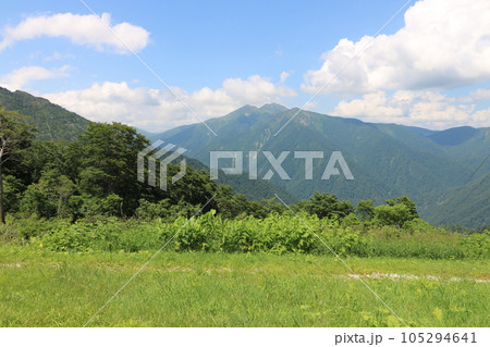 2023年7月の群馬県の谷川岳の天神平 2023年7月の群馬県の谷川岳の天神平 105294641