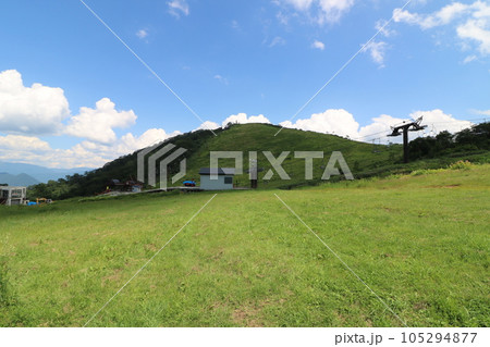 2023年7月の群馬県の谷川岳の天神平 105294877