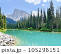 カナディアンロッキー　エメラルドレイク　エメラルド湖 105296151