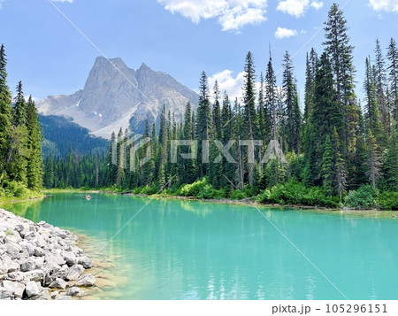 カナディアンロッキー　エメラルドレイク　エメラルド湖 105296151