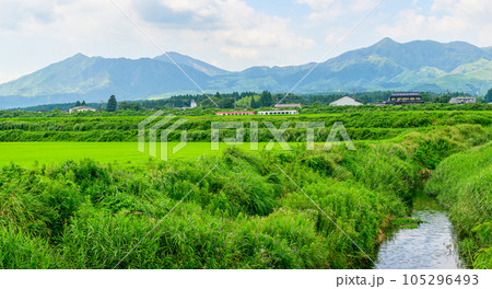 南阿蘇白川水源駅周辺からパノラマ撮影「全線開通・運航再開」(阿蘇山　山並みを背景に田園と列車風景) 105296493