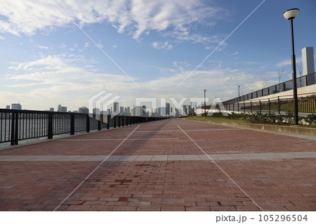 豊洲ぐるり公園　周辺の風景 105296504