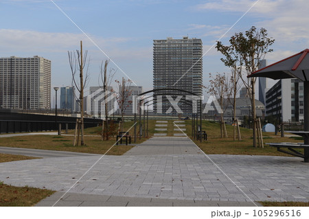 豊洲ぐるり公園 周辺の風景 豊洲ぐるり公園 周辺の風景 105296516
