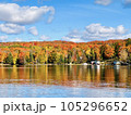 カナダ　オンタリオ湖の紅葉 105296652