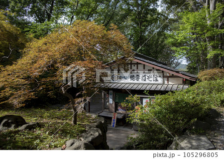 懐古園 周辺の風景 懐古園 周辺の風景 105296805