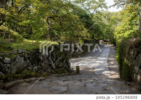 懐古園 周辺の風景 懐古園 周辺の風景 105296808
