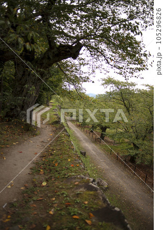 懐古園 周辺の風景 懐古園 周辺の風景 105296826