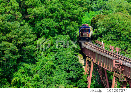 鉄橋を横断するトロッコ列車風景「全線開通・運航再開」(立野駅・立野ダム周辺から撮影) 鉄橋を横断するトロッコ列車風景「全線開通・運航再開」(立野駅・立野ダム周辺から撮影) 105297074
