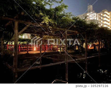 菅原道真公を祀る亀戸天満宮の夜 105297116