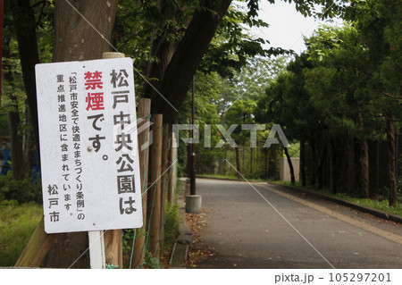 松戸中央公園　周辺の風景 105297201