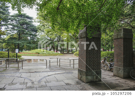 松戸中央公園　周辺の風景 105297206