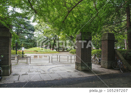 松戸中央公園 周辺の風景 松戸中央公園 周辺の風景 105297207