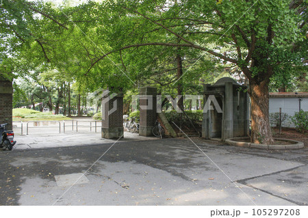松戸中央公園　周辺の風景 105297208