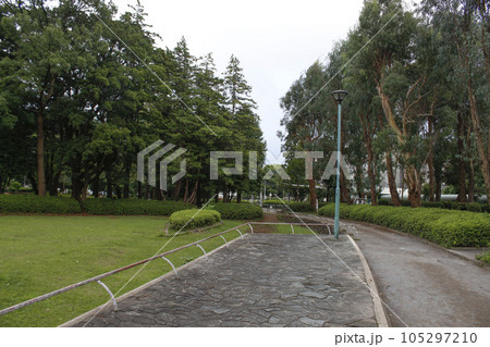 松戸中央公園 周辺の風景 松戸中央公園 周辺の風景 105297210