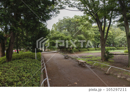 松戸中央公園 周辺の風景 松戸中央公園 周辺の風景 105297211