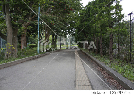 松戸中央公園　周辺の風景 105297212