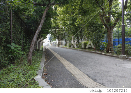 松戸中央公園　周辺の風景 105297213