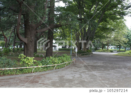 松戸中央公園 周辺の風景 松戸中央公園 周辺の風景 105297214