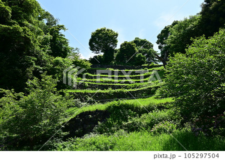 鳥羽城の入場口付近 105297504