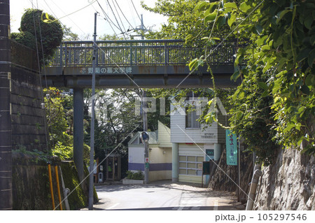 野菊の墓 周辺の風景 野菊の墓 周辺の風景 105297546