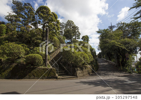 野菊の墓　周辺の風景 105297548