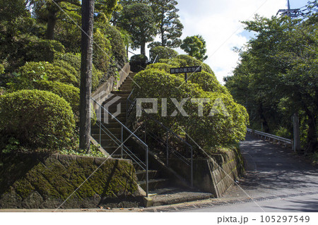 野菊の墓 周辺の風景 野菊の墓 周辺の風景 105297549