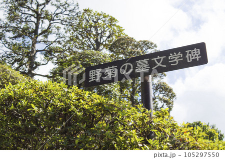 野菊の墓　周辺の風景 105297550