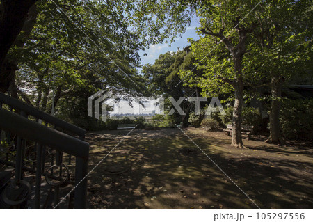 野菊の墓 周辺の風景 野菊の墓 周辺の風景 105297556