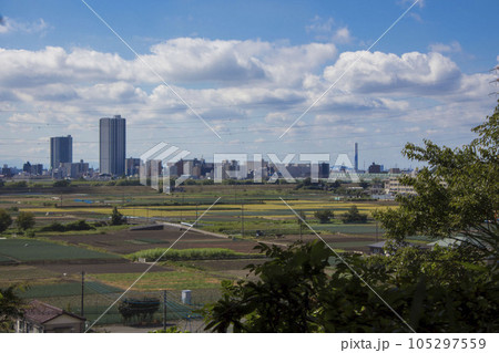 野菊の墓 周辺の風景 野菊の墓 周辺の風景 105297559