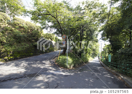 野菊の墓　周辺の風景 105297565