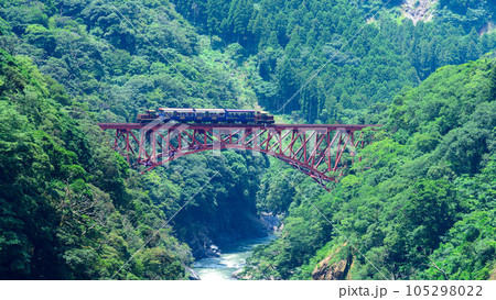 第一白川橋梁　鉄橋を横断するトロッコ列車風景「全線開通・運航再開」(阿蘇長陽大橋周辺から撮影) 105298022