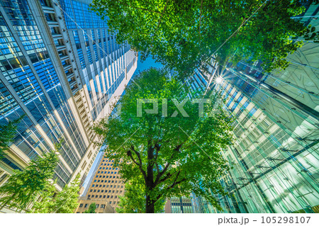 日本の東京都市景観 夏。緑に溢れる夏の大手町。奥は「大手町駅前」交差点。画面左は大手町野村ビル 105298107